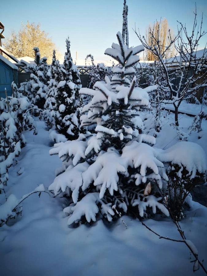 Загородный Коттедж Kek-Dzhar 외부 사진